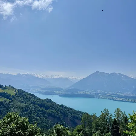 Apartment Panorama Heiligenschwendi